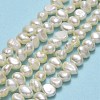 Natural Cultured Freshwater Pearl Beads Strands PEAR-A005-07E-X-2