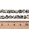 Natural Dalmatian Jasper Beads Strands G-N257-24A-04-5