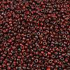 MIYUKI Round Rocailles Beads SEED-G008-RR4513-2