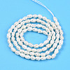 Natural Cultured Freshwater Pearl Beads Strands PEAR-N012-02X-3