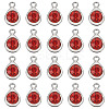 20Pcs Faceted Glass Charms RGLA-TADJ0001-01C-2