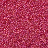 MIYUKI Round Rocailles Beads SEED-G007-RR0141FR-3