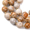 Natural Fossil Coral Beads Strands G-C249-A27-16MM-4