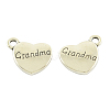Tibetan Style Alloy Pendants X-TIBEP-5408-AS-FF-1