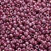TOHO 6/0 Round Beads SEED-TR06-1202-4