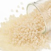 TOHO Round Seed Beads X-SEED-TR11-0147F-1