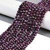 Natural Ruby Beads Strands G-P553-G01-04-1