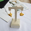 Resin & Alloy Dangle Earrings WG1C298-01-2