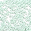 Baking Paint Glass Seed Beads SEED-A033-05R-3