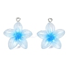 Transparent Resin Pendants RESI-P048-01P-2