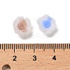 Luminous Resin Decoden Cabochons RESI-K036-06K-4