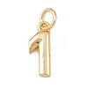 Brass Charms KK-G544-10G-2