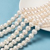 Natural Cultured Freshwater Pearl Beads Strands X-PEAR-L001-G-14-1
