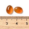 Natural Red Agate Cabochons G-P521-03A-01-3