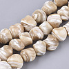 Natural Trochid Shell/Trochus Shell Beads Strands SSHEL-N032-01-1