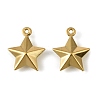 304 Stainless Steel Charms. Star Charm STAS-A190-05G-1