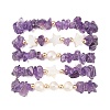5Pcs 5 Style Natural Amethyst Chips Stretch Bracelets Set BJEW-JB09551-01-2