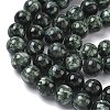 Natural Seraphinite Beads Strands G-C270-O01-11-4