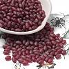 Transparent Colours Glass Seed Beads SEED-F006-03A-07-1
