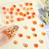 48Pcs 6 Styles Opaque Resin Imitation Food Decoden Cabochons CRES-SC0002-84-3