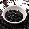 MIYUKI Round Rocailles Beads SEED-X0055-RR2402-2