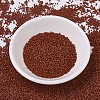 MIYUKI Delica Beads LS-X-SEED-J020-DB0794-2