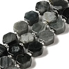 Natural Eagle Eye Stone Beads Strands G-P534-A14-02-1