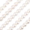 1 Strand AB Color Plated Shell Pearl Round Beads Strands BSHE-LT0001-01-1