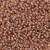 MIYUKI Round Rocailles Beads SEED-G008-RR3734-3