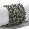 Natural Green Apatite Beads Strands G-L651-C08-4mm-2