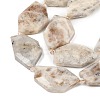Natural Sunstone Beads Strands G-P548-A03-01-3