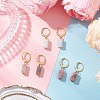3 Pairs 304 Stainless Steel Natural Mixed Stone Leverback Earrings EJEW-JE06527-01-1