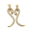 Snake Brass Cubic Zirconia Dangle Stud Earrings for Women EJEW-F367-01B-G-2