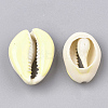 Cowrie Shell Beads SHEL-S274-04J-2