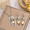 Owl Bohemia Style Alloy & Resin Pendant Necklaces & Dangle Earrings Sets FS-WGD384A-01-4