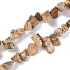 Natural Picture Jasper Nuggets Beads Strands G-B125-A10-01-1