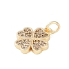Rack Plating Brass Micro Pave Clear Cubic Zirconia Charms LS-KK-Z060-13G-2