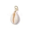 Natural Cowrie Shell Pendants PALLOY-JF03712-01-2