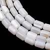 Natural Freshwater Shell Beads Strands SH-CBA2978-21A-2