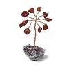 Natural Red Jasper Chips Tree of Life Decorations DJEW-P022-03A-09-1