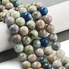 Natural Hackmanite Sodalite Beads Strands G-Z063-A03-02-2