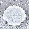 Frosted Glass Seed Beads SEED-N012-01B-2