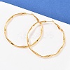 304 Stainless Steel Hoop Earrings EJEW-I320-25G-03-1