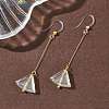 Electroplated 304 Stainless Steel Resin Fan Dangle Earrings EJEW-Z129-11G-02-5