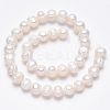 Natural Cultured Freshwater Pearl Beads Strands SPPA007Y-1-2