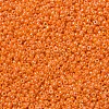 MIYUKI Round Rocailles Beads SEED-X0054-RR0473-3