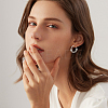 2 Pairs 2 Colors 304 Stainless Steel Mesh Chains Hoop Earrings EJEW-BBC0001-73A-6