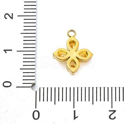 304 Stainless Steel Micro Pave Cubic Zirconia Pendants LS-STAS-U042-06G-04-1