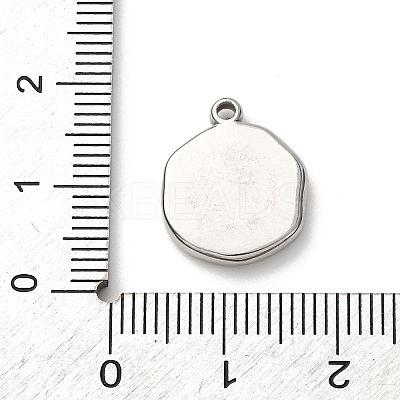 304 Stainless Steel Pendants STAS-I348-02P-03-1