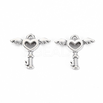 Tibetan Style Alloy Charms TIBEP-N011-022-1